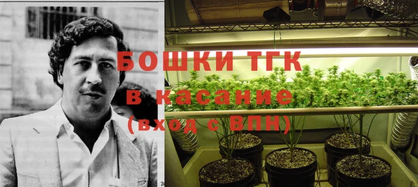 прущие грибы Алзамай