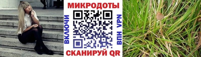 даркнет сайт  Жуков  Псилоцибиновые грибы ЛСД 